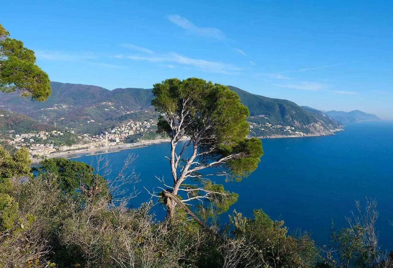 Il cuore di Moneglia al mare 0*,  Italia